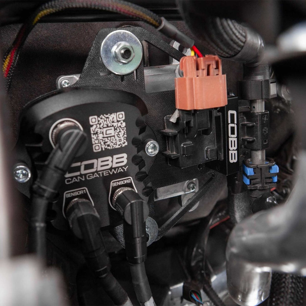 COBB CAN Flex Fuel Upgrade 2023-2025 Ascent / 2023-2025 Legacy / 2023-2025 Outback XT / 2023-2025 Outback Wilderness